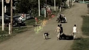 Ильфат Шаехов- бию көйләре