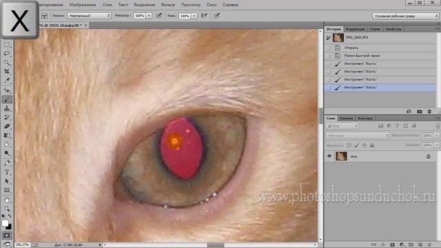 Как удалить неправильный цвет глаз у животных | Коррекция цвета глаз в фотошопе смотреть онлайн