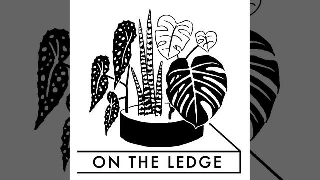 On The Ledge Episode 228: Houseplant books with Maria Failla смотреть онлайн