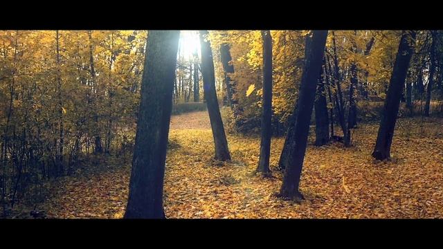 Гимн Спасского-Лутовинова в исполнении Андрея Лефлера