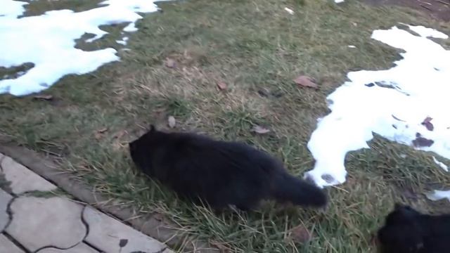 ПЕРЕЕЗД НА КУБАНЬ. НАМОТАЛА КИЛОМЕТРЫ.  ТЕЯ СОСКУЧИЛАСЬ! смотреть онлайн