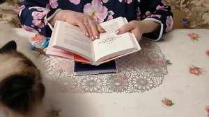 Этикет для юной леди