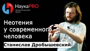 Неотения у современного человека | Лекции по антропологии – Станислав Дробышевский | Научпоп