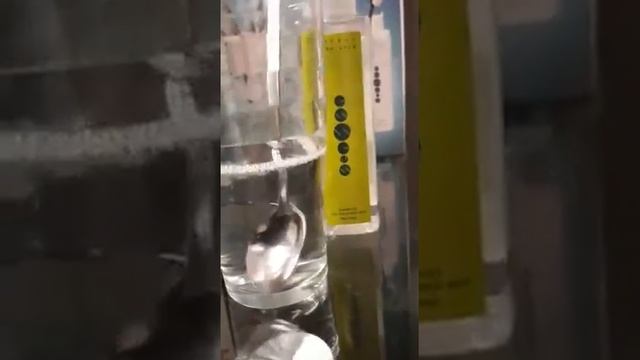 Лучшие натуральные шампуни для волос имеют именно натуральное органическое происхождение. смотреть онлайн