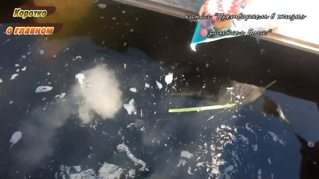 Быстро и легко подкармливаем в июне сад огород смотреть онлайн