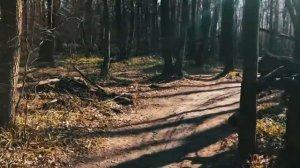 Съемка на телефон со стабилизатором (DJi Osmo mobile 3)