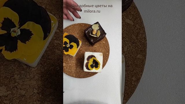 Съедобные цветы для декора блюд, выпечки, сыров, конфет и т.д. на milora.ru