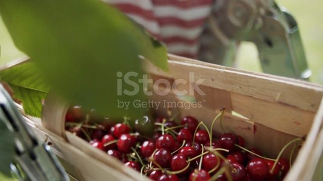 ЭТИ Продукты, сильнее чем СНОТВОРНОЕ. Что съесть и выпить перед сном, Чтобы крепко заснуть! смотреть онлайн