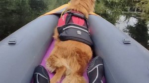 Review of Itiwit 100X inflatable kayak - Part 2. Fin boxes, and a yoga mat for a little duck dog!