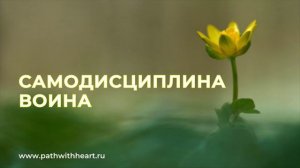 Что такое дисциплина воина? Самодисциплина, осознание, ум, внутреннее безмолвие