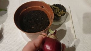 Убрать крадник на красоту, молодость, здоровье #крадник