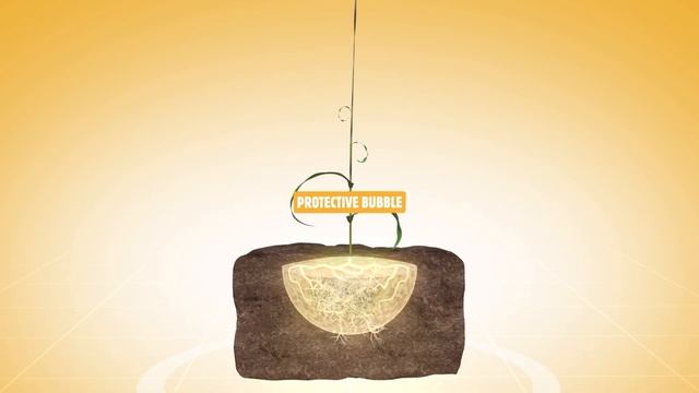 Инсектицидный протравитель семян кукурузы Форс Зеа. смотреть онлайн