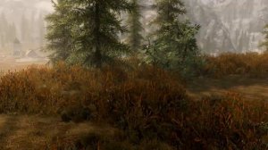 TES 5: Skyrim. Mods/ АГАТА