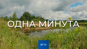 № 14 / Одна минута / На берегу реки / Лето / Тверская область