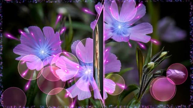 КАКАЯ ДУШЕВНАЯ ПЕСНЯ ! ВОТ И ПОВСТРЕЧАЛИ МЫ ДРУГ ДРУГА ! АЛЕКСЕЙ РОМАНЮТА ! смотреть онлайн