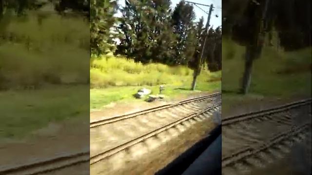 я еду на поезде в струги красные