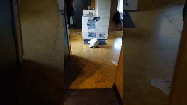 Я после любого расстояния и размеры нервы эпитеты из песни смотреть онлайн