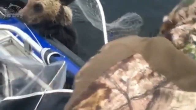 #011 ПРИКОЛЫ НА РЫБАЛКЕ - Ржака до слез, угар прикол смотреть онлайн