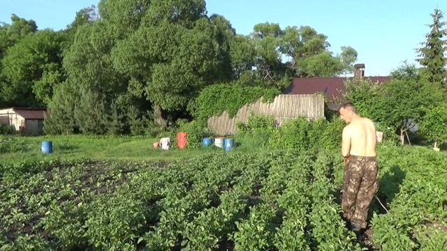 Опрыскиватель своими руками.