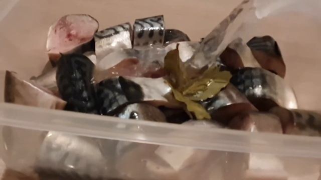 СКУМБРИЯ (МАКРЕЛЬ) МАЛОСОЛЬНАЯ! НУ ООЧЕНЬ ВКУСНО!!! смотреть онлайн