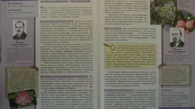Биология (Л.Н.Сухорукова) 9к §26 Селекция - эволюция направляемая человеком