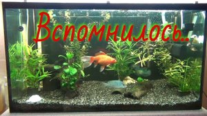 Вспомнилось.......