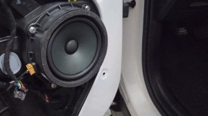 Обзор на динамики DL Audio Raven 165