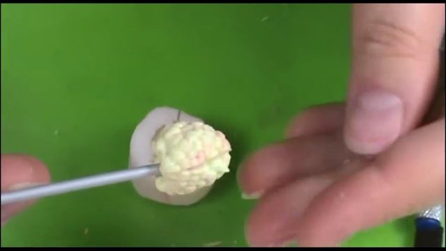молд для ягод малины
