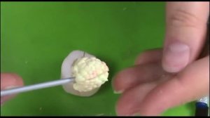 молд для ягод малины