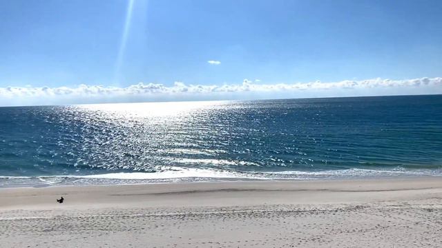 Найдите рай земной, самый красивый пляж на земле. Флорида Perdido Key