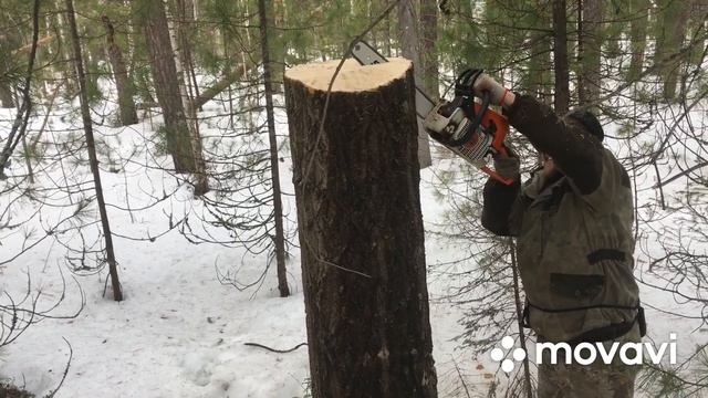 Изготовление и пополнение солонцов. Покатушки на мотобуксировщике Тофалар500.