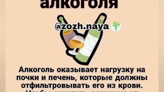 ЗДОРОВЬЕ ПОЧЕК