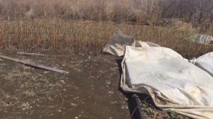 Дача после наводнения