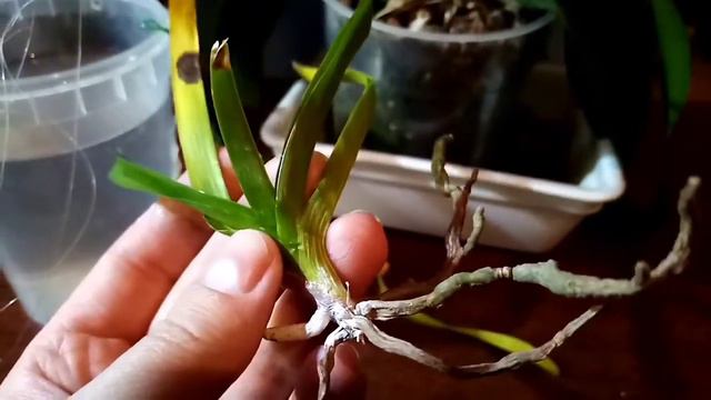 27 ноября 2020 г. смотреть онлайн