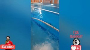 ПРОПЛЫЛ ПОД ВОДОЙ ВЕСЬ БАССЕЙН НЕ ИСПОЛЬЗУЯ РУК. УРОКИ ПЛАВАНИЯ