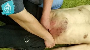 Правка живота Висцеральная терапия