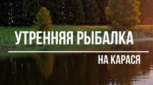 Утренняя рыбалка в Подмосковье на карася