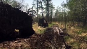 Дорога на Гроссевичи 2017 г