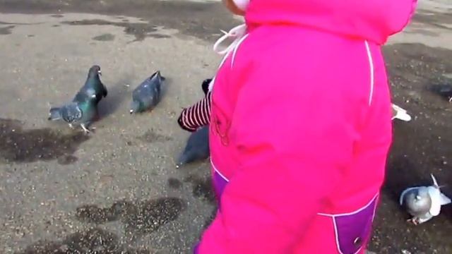 гуляем на улице и кормим голубей.приучаем детей любить животных смотреть онлайн