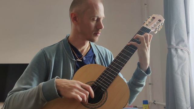 Чакона И. С. Бах Chaconne Transcription by Andres Segovia смотреть онлайн