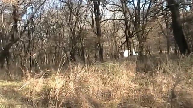 Ставрополь. Ждем, когда клюнет очередной "жареный петух" смотреть онлайн