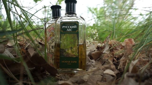 Шерудим в жёлудях с одеколонами Новая заря - Цветочный ? и Русский лес ?? смотреть онлайн