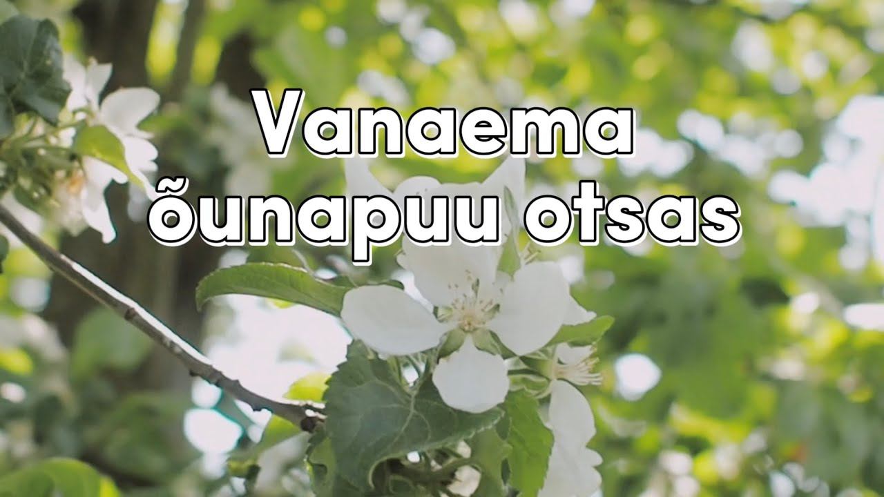 Incognito - Vanaema õunapuu otsas