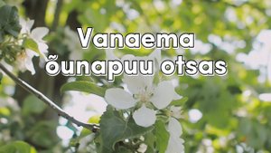Incognito - Vanaema õunapuu otsas