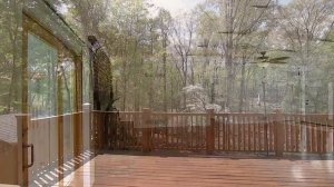 SOLD | Lake Lanier Home in Gainesville, GA