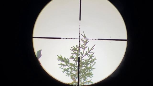Охота на Ворон Сорок и Галок Кроухантинг с пневматикой в Мае ч.1 Crow Hunting 2022