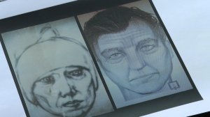 Дело «даниловского маньяка»