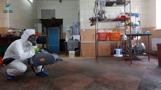 Дезинсекция, дезинфекция, дератизация и демеркуризация в городе Челябинске
