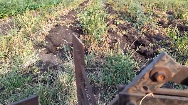Куда выливаем канализацию, и что же получаем в итоге? ?