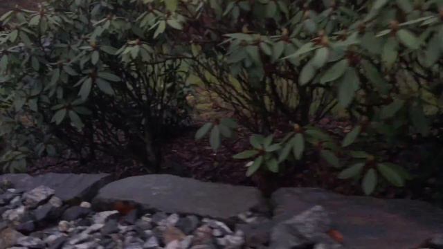 Яхты в Норвегии. Yachts in Norway. 2017 | TACHPLANET смотреть онлайн